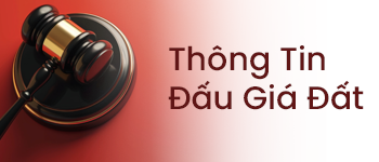 Thông tin đấu giá đất